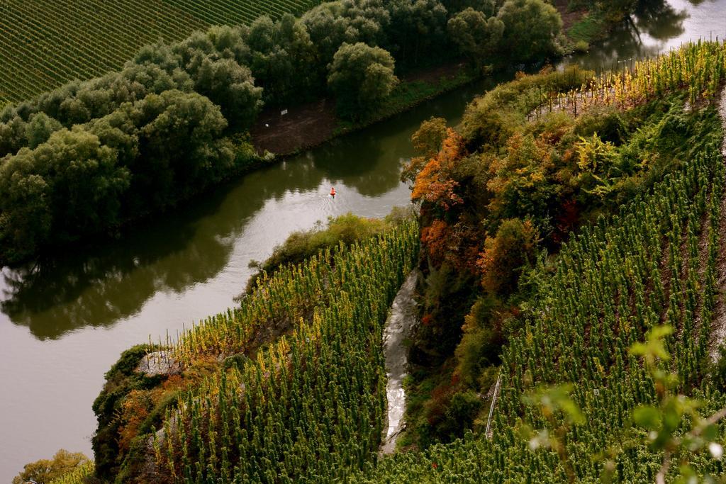 Maison d'hôtes Bio-Weingut Staffelter Hof à Kröv Extérieur photo